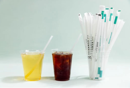 Acido polilattico (PLA): una stella ambientale tra le plastiche biodegradabili